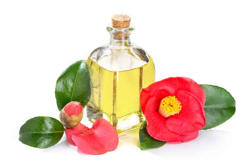 Camellia Oil Refined Organic (Price per 100g)